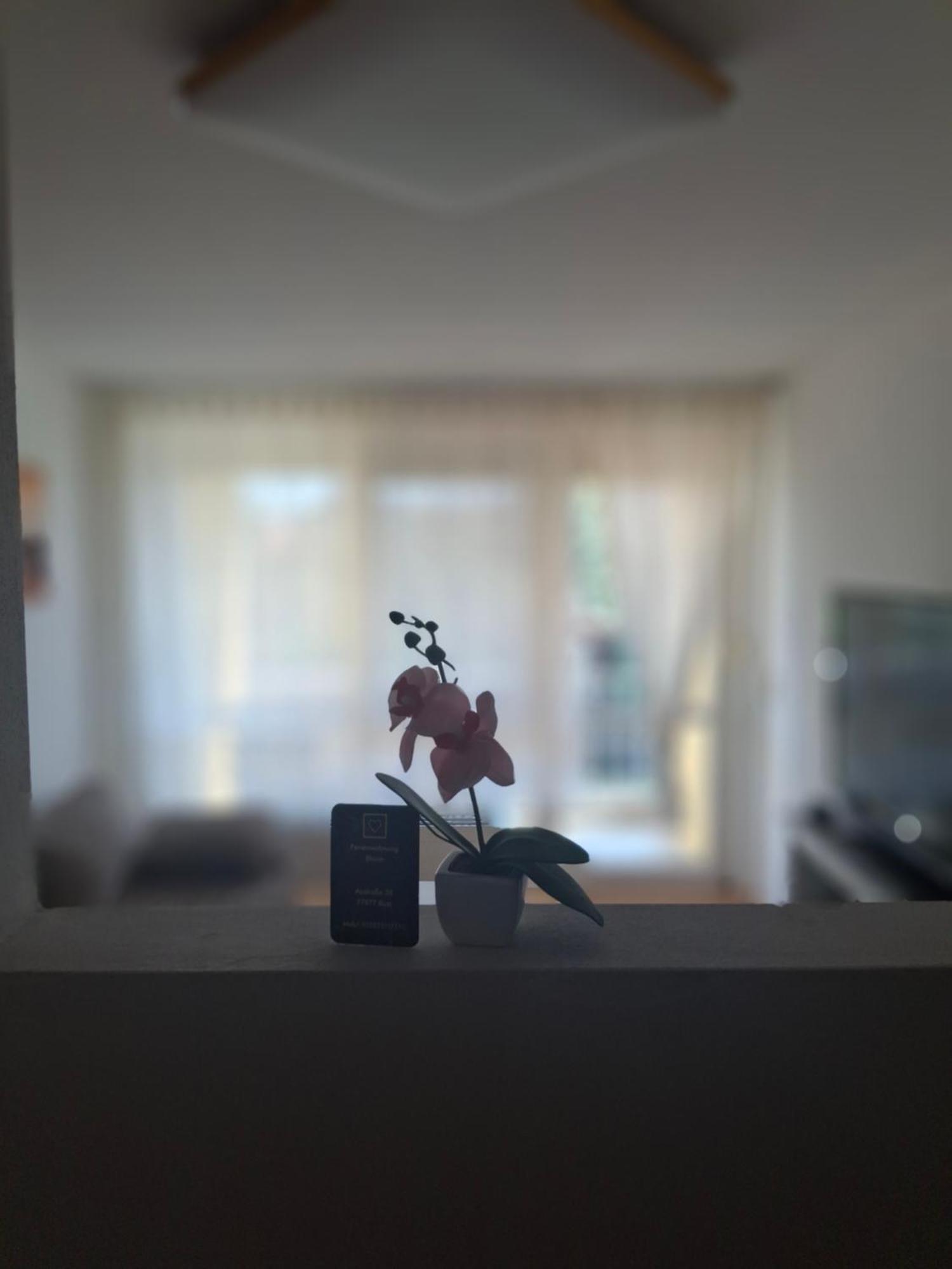 Ferienwohnung Shirin Rust Exteriér fotografie